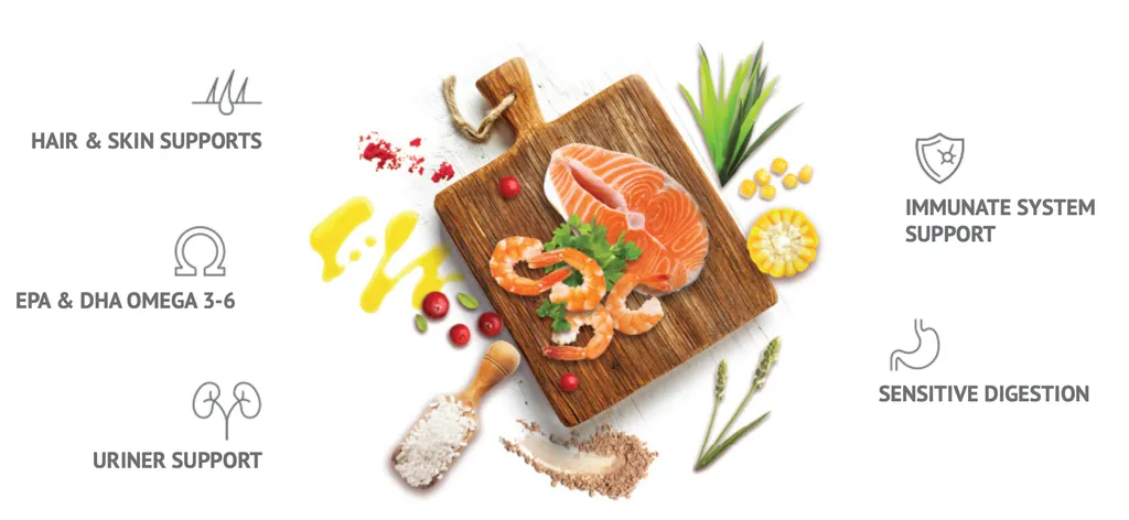 Salmon - Reduces Hair Loss and Increases Hair Density 1